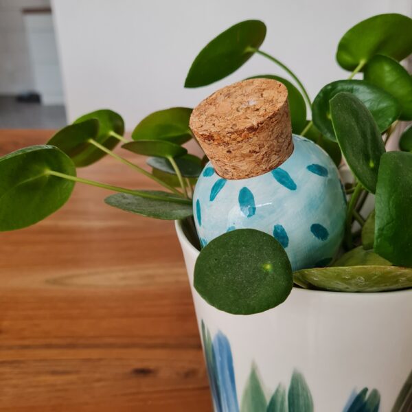 Mini oya – Image 2
